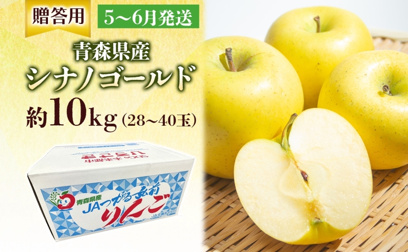 贈答用 シナノゴールド 約10kg りんご リンゴ 青森 林檎 果物 フルーツ くだもの お取り寄せ 贈り物 プレゼント 産地直送 送料無料 青森県 西目屋村 お届け：5月下旬から随時お届け