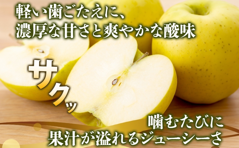 家庭用 シナノゴールド 約10kg りんご リンゴ 青森 林檎 果物 フルーツ くだもの お取り寄せ 贈り物 プレゼント 産地直送 送料無料 青森県 西目屋村 お届け：5月下旬から随時お届け