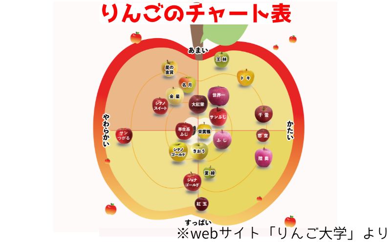 りんご 【 1月発送 】 家庭用 旬のりんご 品種おまかせ 約 5kg 2品種～4品種
