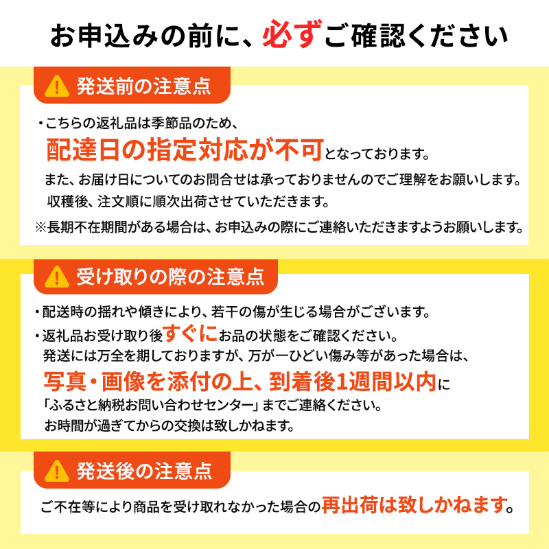 4月～5月 クール便発送 家庭用 訳あり CA貯蔵 シナノゴールド 約 3kg りんご リンゴ 林檎 果物 フルーツ わけあり 青森