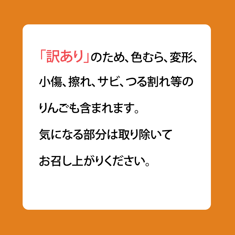 4月～5月 クール便発送 家庭用 訳あり CA貯蔵 シナノゴールド 約 3kg りんご リンゴ 林檎 果物 フルーツ わけあり 青森