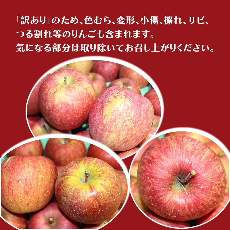 【平均糖度12度以上】2月発送 家庭用 訳あり サンふじ 約 5kg りんご リンゴ 林檎 果物 フルーツ わけあり 青森