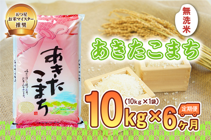 米 定期便 6ヶ月 あきたこまち 10kg 無洗米 盛岡市産 お米マイスター推奨 お米 おこめ こめ コメ 岩手県 岩手 盛岡 半年 6回 お楽しみ