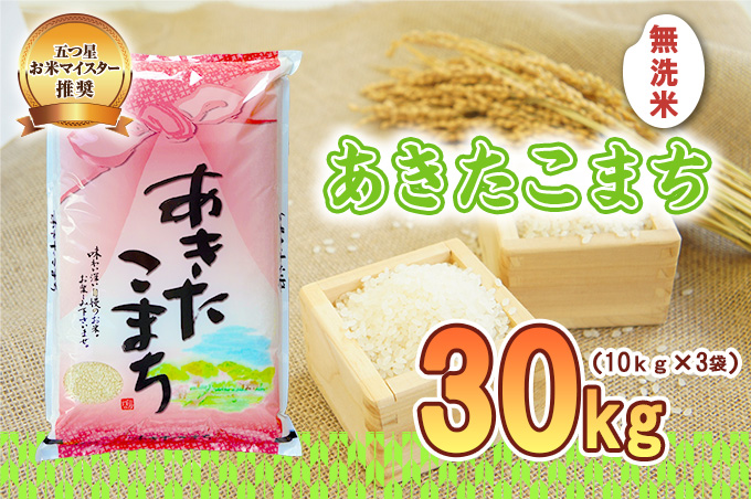 佐々木米穀店 米 五つ星お米マイスター推奨 あきたこまち 無洗米 30kg 岩手 盛岡市産 お米 白米 精米 ご飯 ブランド米 新米 令和6年産 産地直送 送料無料 コメ こめ おこめ 令和6年 2024年 岩手県 盛岡 盛岡市