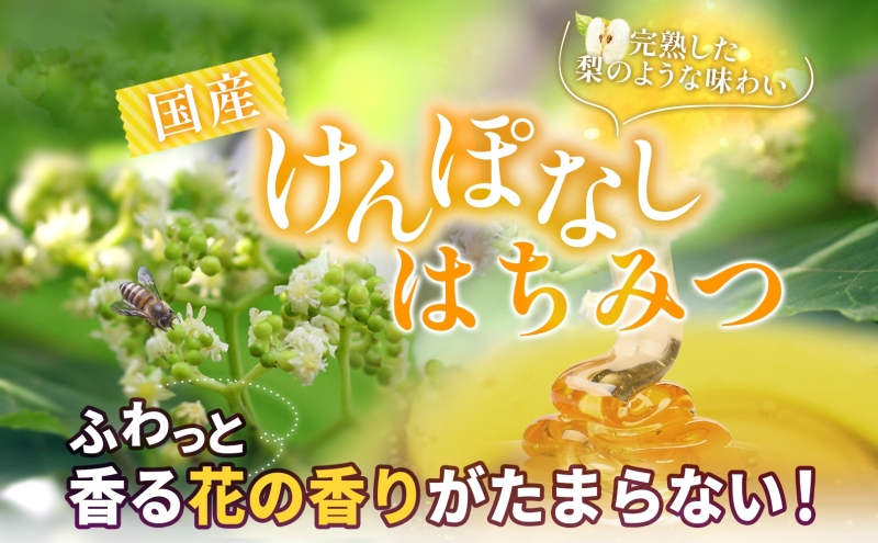 藤原国産蜂蜜 けんぽなし 160g はちみつ ケンポナシ 玄圃梨 国産 単花蜜 朝しぼり 完熟 ハチミツ パン 菓子 トースト ホットケーキ ヨーグルト 調味料 隠し味 お取り寄せ 瓶 容器 常温 常備 送料無料 藤原養蜂場 岩手県 盛岡市