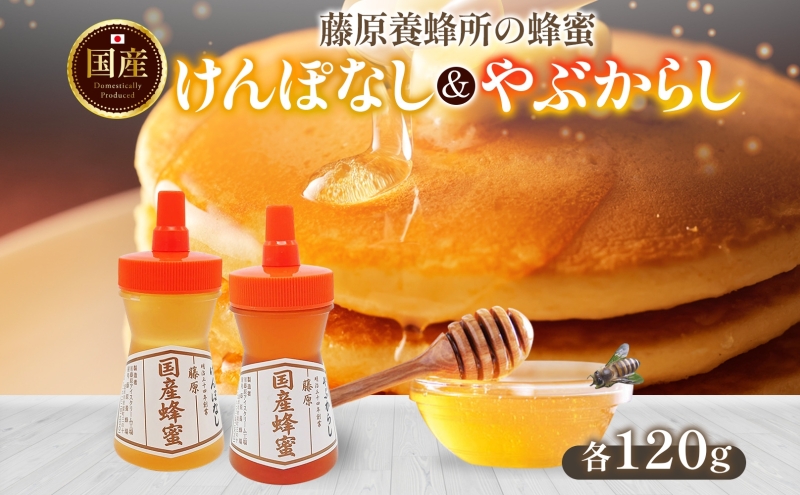 日本ミツバチ完熟蜂蜜(フルーティー)600g×2 日本ミツバチ完熟蜂蜜(フルーティー)600g×2