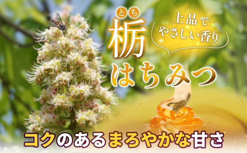 日本ミツバチ完熟蜂蜜(フルーティー)600g×2 日本ミツバチ完熟蜂蜜(フルーティー)600g×2