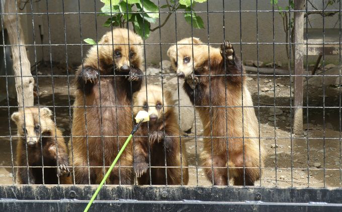 ZOOMO“仲良くなろう”イベント参加券つめ合わせ 盛岡市 盛岡 体験 動物 鳥 病院 公園 動物園 獣医 イベントふれあい