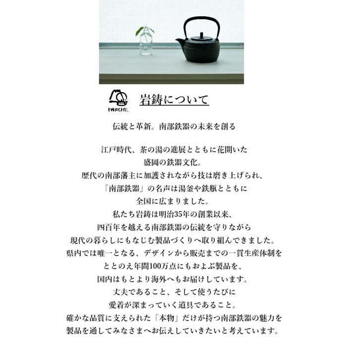 南部鉄器 フライパン オムレット24 直火対応 IH対応 岩鋳 日本製 南部鉄器フライパン 鉄フライパン 鉄分補給 貧血予防 キッチン キッチン用品 キッチングッズ 調理器具 日用品 南部鉄 鉄分 健康 工芸品 民芸品 伝統工芸品 岩手 岩手県 盛岡市