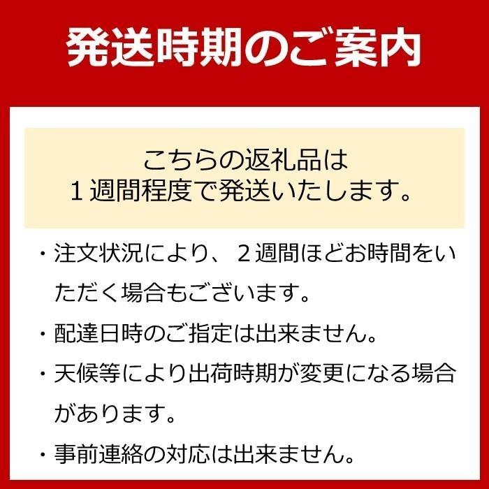 南部鉄器 フライパン オムレット24 直火対応 IH対応 岩鋳 日本製 南部鉄器フライパン 鉄フライパン 鉄分補給 貧血予防 キッチン キッチン用品 キッチングッズ 調理器具 日用品 南部鉄 鉄分 健康 工芸品 民芸品 伝統工芸品 岩手 岩手県 盛岡市
