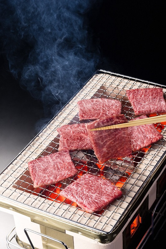 牛肉 豚肉 焼肉セット 800g (400g×2) セット 詰め合わせ もりおか短角牛 もりおかあじわい林檎ポーク 国産 焼き肉 焼肉 牛 豚 肉 短角牛 国産牛 国産牛肉 国産豚 国産豚肉 ビーフ ポーク アウトドア キャンプ BBQ キャンプ飯 岩手 岩手県 盛岡市