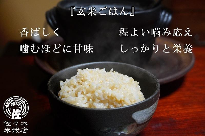 玄米 銀河のしずく 30kg (5kg×6袋) 米 お米マイスター 単一原料米 お米 おこめ こめ 岩手 岩手県 盛岡市