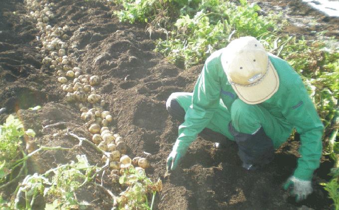 レンジでチンOK！「いわて牛コロッケ＆ズワイガニクリームコロッケ」総数12個