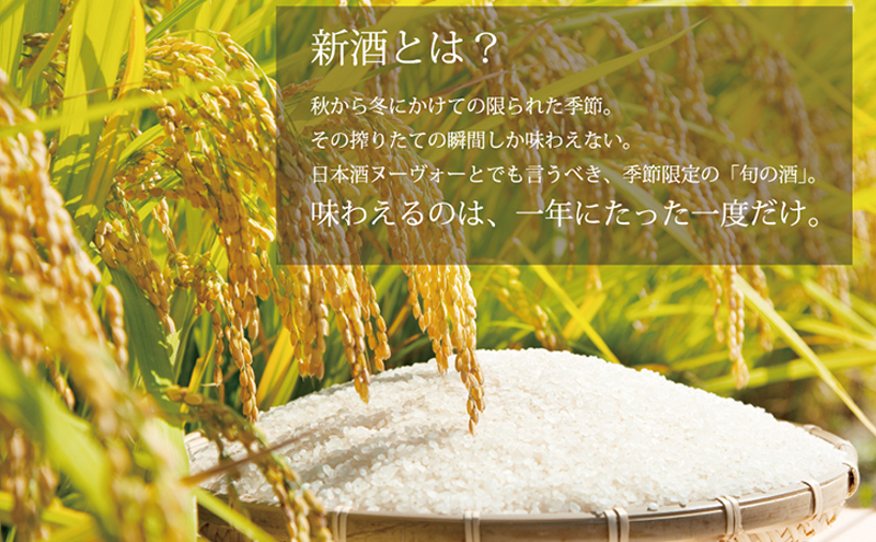 【あさ開】令和7年新米仕込み しぼりたて純米新酒(生原酒) 720ml×2本【本数限定＆期間限定】 お酒 日本酒 晩酌 非加熱 無殺菌 無濾過 みずみずしい