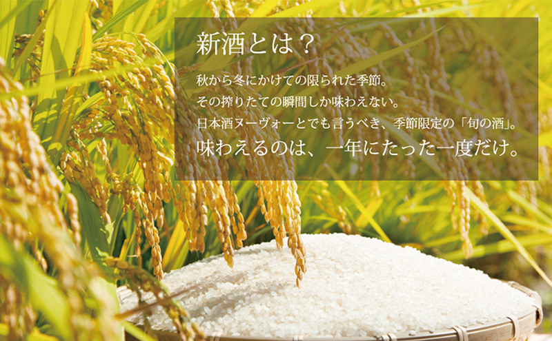 【あさ開】令和7年新米仕込み しぼりたて純米新酒(生原酒) 1800ml×2本【本数限定＆期間限定】 お酒 日本酒 晩酌 非加熱 無殺菌 無濾過 みずみずしい
