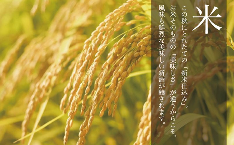 【あさ開】令和7年新米仕込み しぼりたて純米大吟醸新酒(生原酒) 720ml×2本【本数限定＆期間限定】 お酒 日本酒 晩酌 吟醸香 華やかな香り ほのかな甘み 酒蔵直送