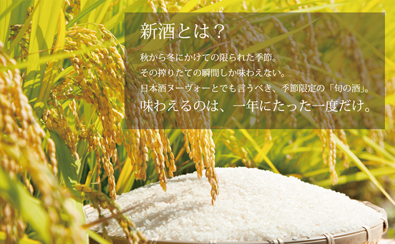 【あさ開】令和7年新米仕込み しぼりたて純米新酒＆純米大吟醸新酒飲み比べセット 720ml×2本【本数限定＆期間限定】
