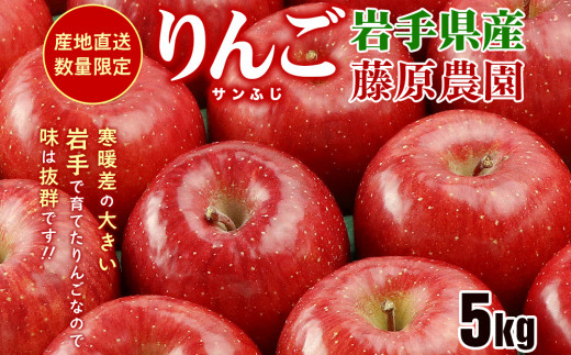 りんご 10kg サンふじ 青森産 ご家庭用 送料無料 食品 : 食