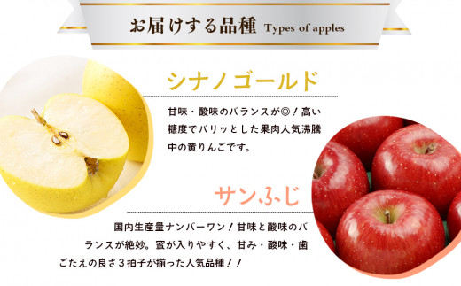 先行予約《2025年11月中旬～発送》藤原農園のりんご2種の詰め合わせ『シナノゴールド・サンふじ』5kg 14玉～20玉 果物類 美味しい 生産 大人気 果汁 果肉 やや硬い シャキシャキ 食感 絶品 高糖度 蜜 甘い 食べ比べ
