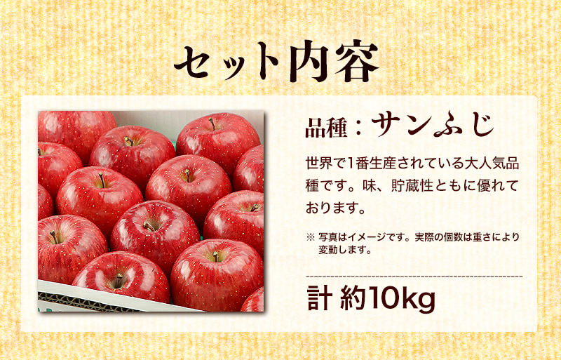 ふじむら農園の盛岡りんご『サンふじ』約10kg（ご家庭用）【季節限定・数量限定】28玉～40玉 果物類 美味しい 生産 大人気 果汁 果肉 シャキシャキ 食感 絶品 高糖度