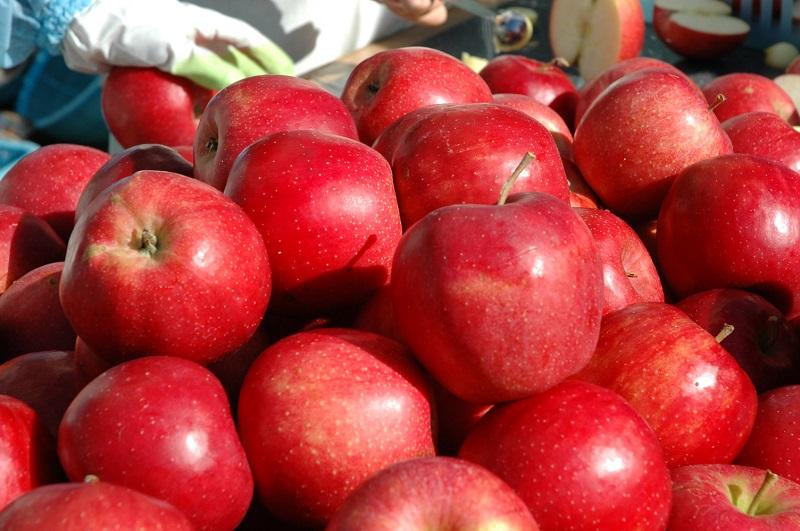 【五枚橋ワイナリー】林檎ワイン 和食に合う2本セット（ジョナゴールド）