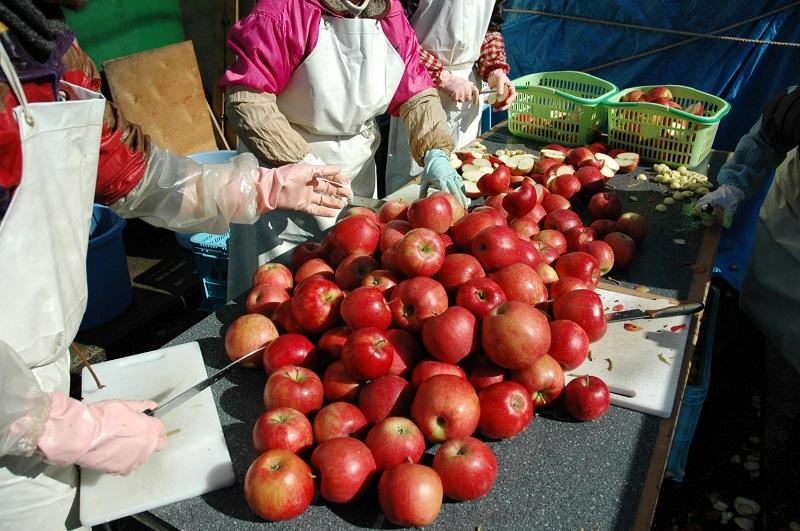 【五枚橋ワイナリー】林檎ワイン 和食に合う2本セット（ジョナゴールド）