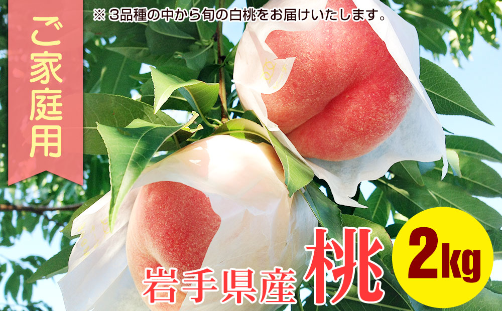 白桃 家庭用 2kg 約5～8玉 桃 モモ もも 果物 くだもの フルーツ 旬の果物 旬のフルーツ 季節の果物 季節のフルーツ 岩手 岩手県 盛岡市