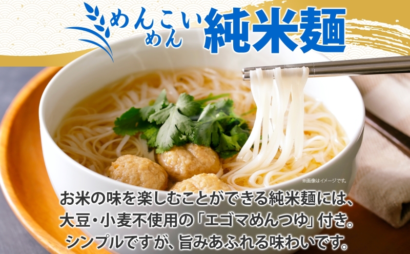無地熨斗 盛岡 めんこいめん 2種 計6食 Eセット 純米麺 盛岡純米冷麺 グルテンフリー 米粉麺 麺 米粉 冷麺 盛岡冷麺 人気 グルメ お取り寄せ ギフト プレゼント お土産 熨斗 のし 名入れ不可 送料無料 岩手県 盛岡市