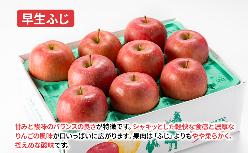 盛岡から「農で人をつなぐ」藤与果樹園：《訳アリ》おまかせ中生品種詰め合わせ（シナノスイート、ジョナゴールド、早生ふじ、ぐんま名月、もりのかがやき等から2種以上）3kg  訳アリ 不揃い 傷 規格外 フルーツ 果物 旬のフルーツ 旬の果物 旬 冬 岩手 盛岡 産地直送 玉数指定不可 詰め合わせ 岩手 盛岡