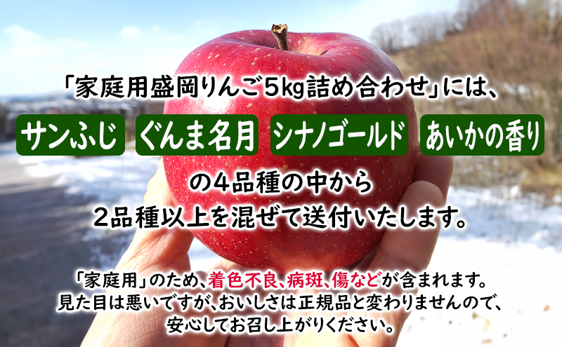 11月限定 りんご 『盛岡りんご』生果実 家庭用 約5kg(18～16個) 箱 詰め合わせ 盛岡市 下久保農園産