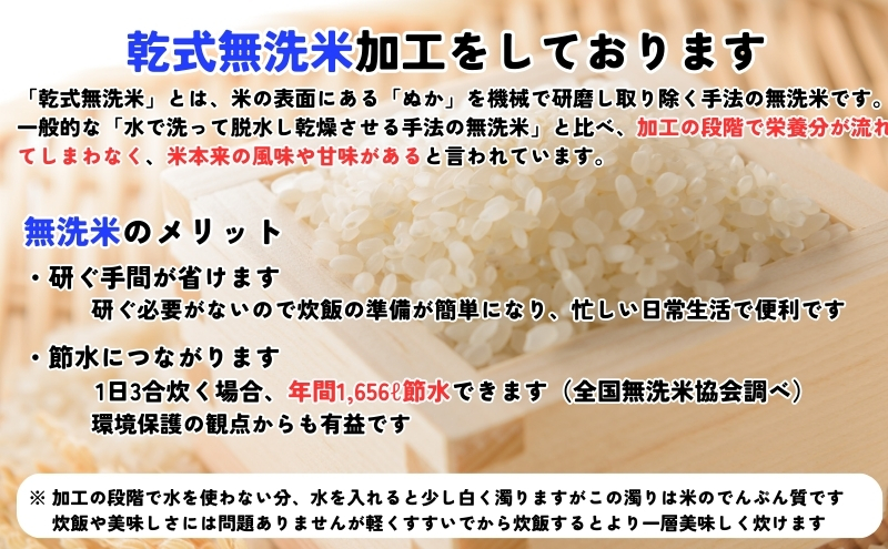 Amazon.co.jp: 【精米】 純情米いわて 岩手県産 無洗米 銀河の