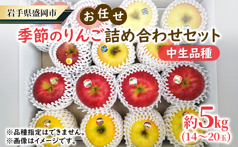 【大櫻農園】盛岡 りんご 中生「お任せ 季節のりんご詰め合わせ」約5kg（14～20玉）林檎 リンゴ 果物 フルーツ 旬の果物 旬のフルーツ 季節の果物 季節のフルーツ 岩手りんご 岩手県 盛岡市