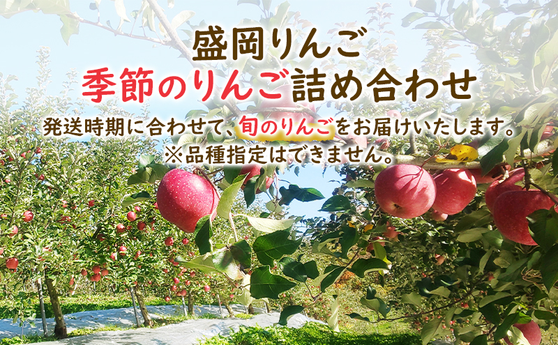 【大櫻農園】盛岡 りんご 中生「お任せ 季節のりんご詰め合わせ」約5kg（14～20玉）林檎 リンゴ 果物 フルーツ 旬の果物 旬のフルーツ 季節の果物 季節のフルーツ 岩手りんご 岩手県 盛岡市