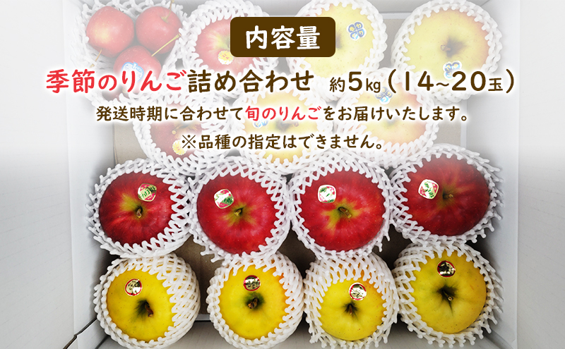 【大櫻農園】盛岡 りんご 中生「お任せ 季節のりんご詰め合わせ」約5kg（14～20玉）林檎 リンゴ 果物 フルーツ 旬の果物 旬のフルーツ 季節の果物 季節のフルーツ 岩手りんご 岩手県 盛岡市