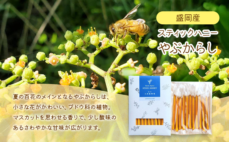 盛岡市 大西養蜂場 盛岡産はちみつ【スティックハニー やぶからし2 .5g×11本】5個 セット   国産 非加熱  ハチミツ 蜂蜜 国産はちみつ 非加熱はちみつ 非加熱 岩手 岩手県