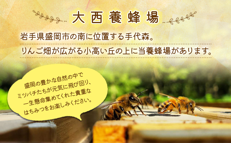 盛岡市 大西養蜂場 盛岡産はちみつ【スティックハニー やぶからし2 .5g×11本】5個 セット   国産 非加熱  ハチミツ 蜂蜜 国産はちみつ 非加熱はちみつ 非加熱 岩手 岩手県