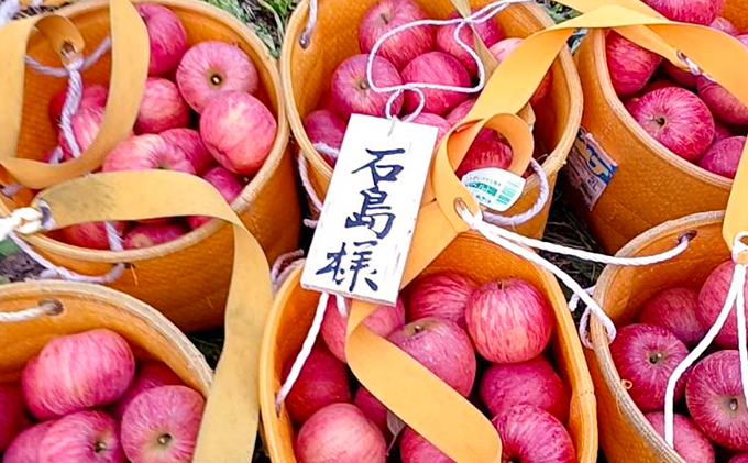 りんご オーナー 定期便 2ヶ月 りんごの樹 サンふじ 1本のオーナー 収穫したりんご約15kgを2回発送 佐々木果樹園 乙部角屋 盛岡りんご フルーツ 果物 産地直送 旬 先行予約 先行 予約  岩手 定期 2回