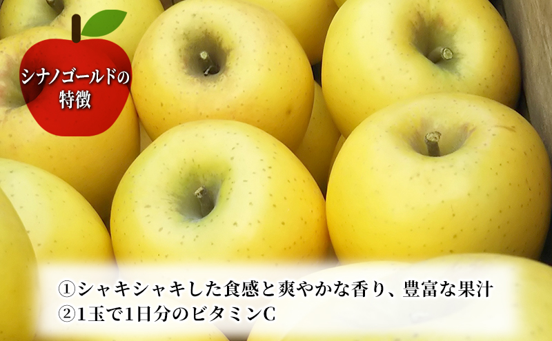 先行予約≪2025年11月初旬～発送≫盛岡ブランド認証『シナノゴールド』約3kg(家庭用)10玉前後 果物類 林檎 盛岡りんご りんご リンゴ