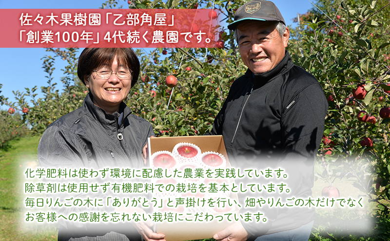 先行予約≪2025年11月初旬～発送≫盛岡ブランド認証『シナノゴールド』約3kg(家庭用)10玉前後 果物類 林檎 盛岡りんご りんご リンゴ