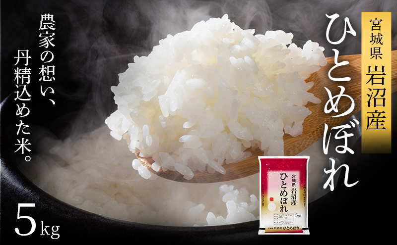 [令和7年産新米] 岩沼産 ひとめぼれ 5kg 米 お米 白米 精米 ブランド米