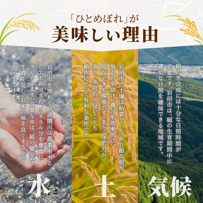 【令和7年産】 無洗米 ひとめぼれ 10kg 米 岩沼産 お米 白米 ブランド米 単一原料米 10キロ こめ コメ おこめ ご飯 ライス 東北 宮城県産 宮城県産ひとめぼれ 宮城米 宮城 宮城県 岩沼市