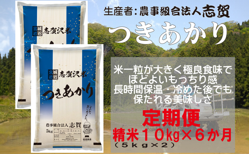 【 令和7年産 新米 】米 定期便 6ヶ月 つきあかり 精米 10kg ( 5kg × 2 ) 志賀沢米