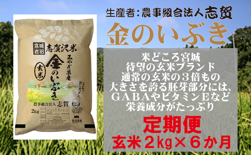 【 令和7年産 新米 】玄米 定期便 6ヶ月 金のいぶき 2kg 志賀沢米