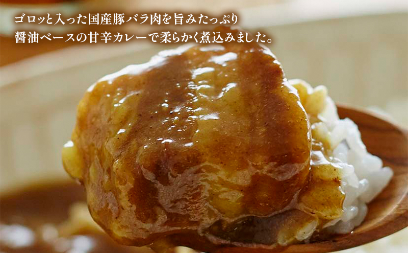 ご当地 日本全国 お肉のカレー 10種類詰め合わせセット レトルト