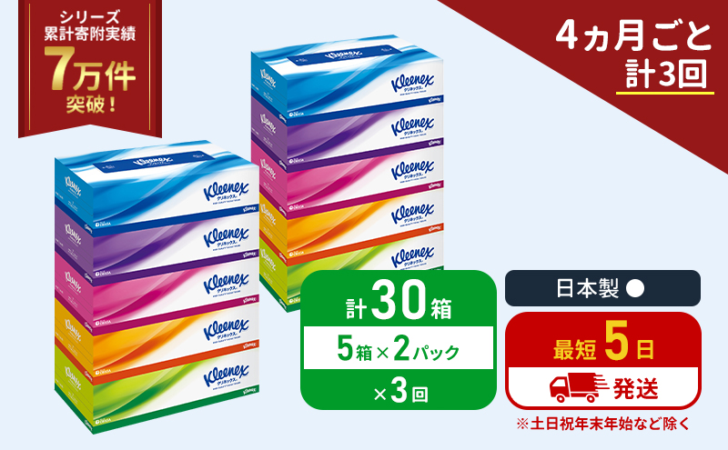 クリネックス ティシュー 5箱入×2パック[4ヶ月ごと計3回] 定期便 ティッシュ ティッシュペーパー セット
