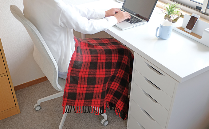 電気毛布 ブランケット ひざ掛け 120×60cm EBK-1206ZR レッド アイリスオーヤマ 温度調整 温度調節 節電 寒さ対策 暖房 電気 暖房器具 在宅勤務