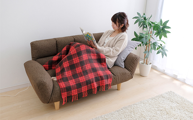 電気毛布 ブランケット ひざ掛け 120×60cm EBK-1206ZR レッド アイリスオーヤマ 温度調整 温度調節 節電 寒さ対策 暖房 電気 暖房器具 在宅勤務