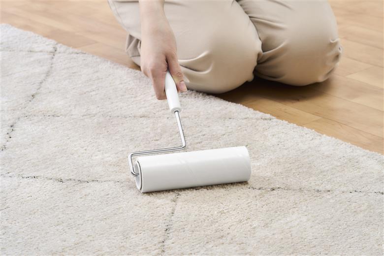 カーペットクリーナー スペアテープ 3P×8個 ななめカット NC-SH90 3P ホワイト アイリスオーヤマ 粘着カーペットクリーナー トルクル スペアテープ 90周巻 粘着クリーナー スペア ななめカット アイリスオーヤマ