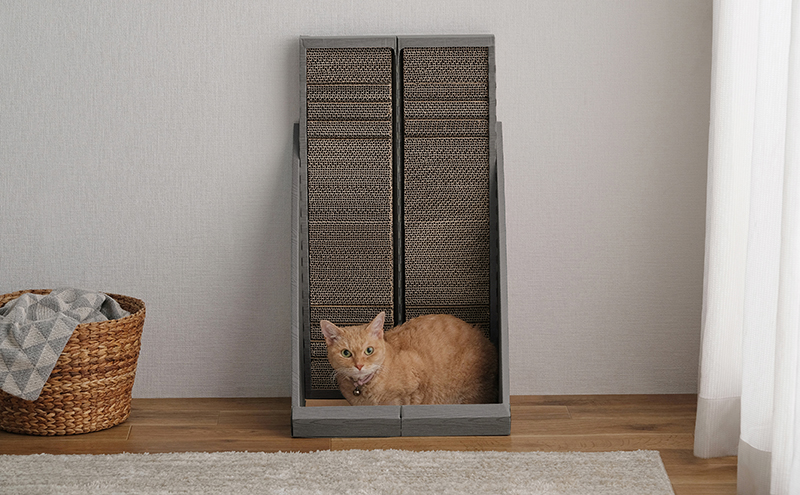 岩合光昭 「ねこ22」爪とぎソファ ＜ねこのきもち編集長愛用