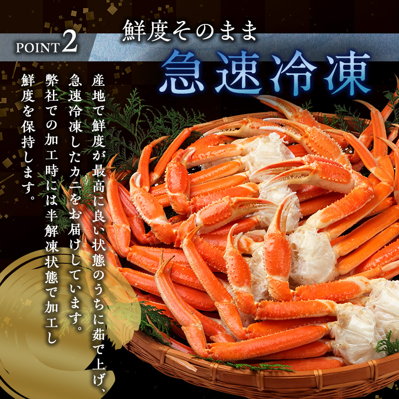 冷凍ボイルズワイガニ足5キロ 送料無料 冷凍 ボイルズワイガニ 脚 セクション 5kg 2L 250-300g